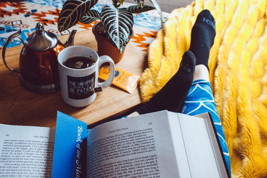 Book Nook compressed